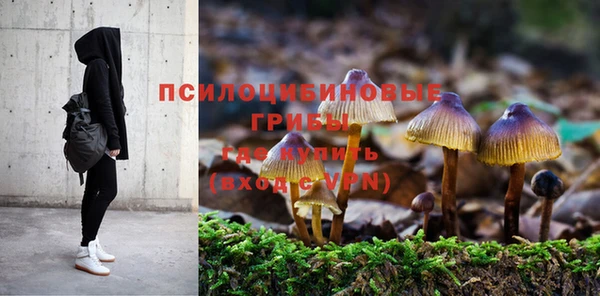 прущая мука Новодвинск