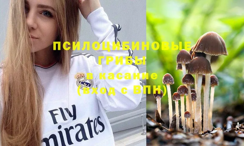 Псилоцибиновые грибы Magic Shrooms  Губкинский 