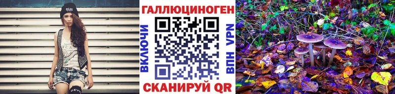 Галлюциногенные грибы Psilocybe  Губкинский 