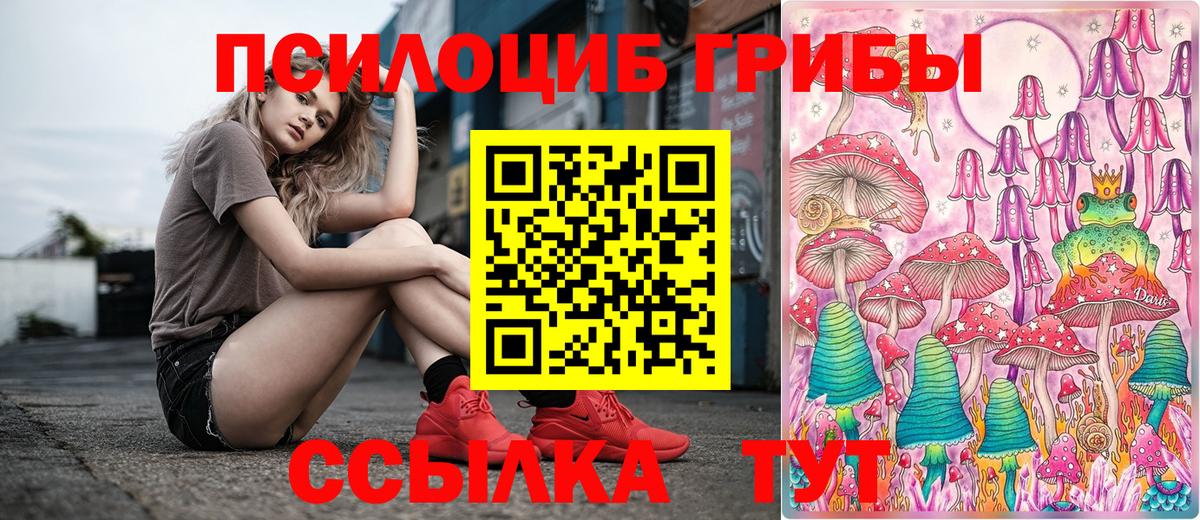 купить закладку  Вход с VPN  Губкинский  Псилоцибиновые грибы Magic Shrooms 