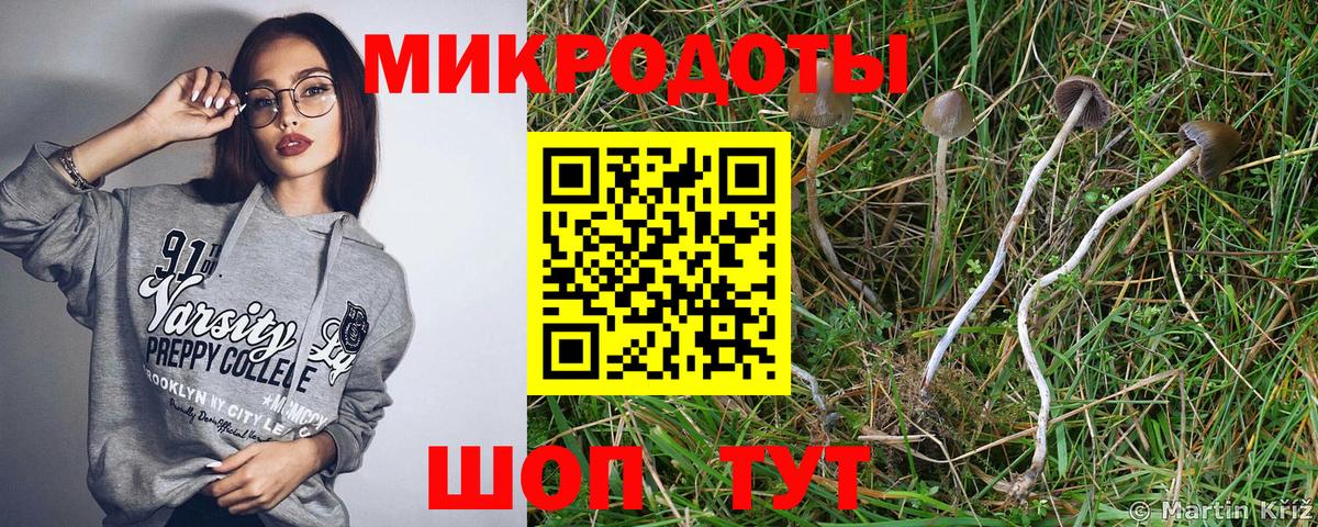 Галлюциногенные грибы ЛСД  Губкинский 